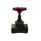 Eca 1" İnç O-Ringli Stop Valf 601005003