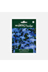 Çiçek Tohumu Mavi Kardinal Çiçeği