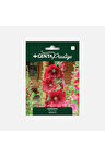 Çiçek Tohumu Gülhatmi