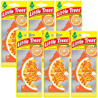 Car Freshner Asma Koku 6'lı Portakal