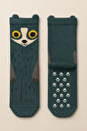 Erkek Çocuk Rakun Desenli Soket Çorap Yeşil
