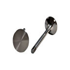 Bmw Supap Takımı İn-12 Ex-12 (vanos) Bmw M50 M52 - Gunes 0504-0505