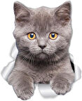 Kırık Cam Efekti Kedi Araba Oto Sticker Etiket z7