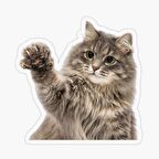 Kırık Cam Efekti Kedi Araba Oto Sticker Etiket z9