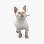 UFak Bebek Kedi Araba Oto Sticker Etiket Renkli C1