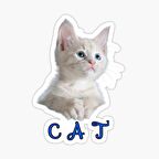 UFak Bebek Kedi Araba Oto Sticker Etiket Renkli E8