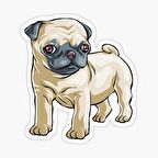 Pug Irkı Cinsi Köpek Sticker Araba Oto Yapıştırması 17CM Z2