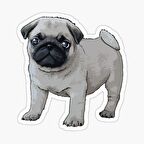 Pug Yavru Cinsi Köpek Sticker Araba Oto Yapıştırması 17CM
