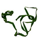 Pati Premium Ayarlanır Kuş Gezdirme Tasması Yeşil