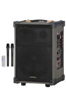 Hepu Hp-977 Partybox Bluetooth Hoparlör 12 Woofer 50W Güç 2 Kablosuz Mikrofon Kumanda