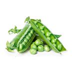 Bezelye Tohumu İri Taneli Utrillo ULra 75 Adet 20 GR