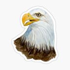 Araba için Kartal Oto Sticker Yapıştırması Etiket  17CM a6