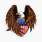 Araba için Kartal Oto Sticker Yapıştırması Etiket  17CM q3