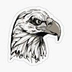 Araba için Kartal Oto Sticker Yapıştırması Etiket  17CM zz6