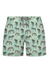 Bonitas Erkek Şort Zebra-Mint 22701