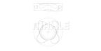 Bmw Piston Segman 84mm Std Bmw M57 N2 E53 E60 E90 E65 E70 E71 - Mahle 081pi00102000