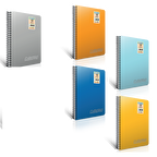 Gıpta Spiralli Defter Chromo Plastik Kapak Kareli 80 YP A5 13480