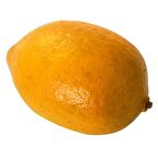 Euro Flora Dekoratif Yapay Limon 5x10 Cm 