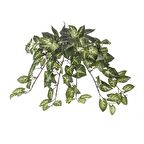 Euro Flora Yapay Sarmaşık Sygonıum Demet 42 Cm