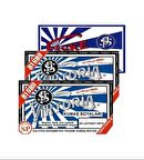 Viktoria Kumaş Boyası 2 Adet Lacivert Orta Rengi 1 Adet Sabitleyici Fiske