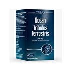 Orzax Ocean Tribulus Terrestris 500 mg 60 Kapsül