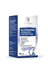 NaturalNest Glucosamine Chondroitin MSM 60 Tablet