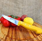 Mutfak Bıçağı - 24 Cm Plastik Sap