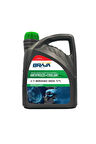 G-11 Inorganic Green Antifreeze -74°C 3 KG