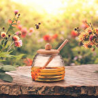 Bambu Kapaklı Cam Bal Kavanozu - 420ml | Kaşıklı & Şık Sunum Kavanozu | Doğal Ahşap Kapaklı Cam Bal Saklama Kabı