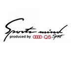 Audi Q5 Mind Sport Far Üstü Oto Sticker Kaput Yapıştırma
