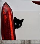 Sevimli Kedi Z Araba Sticker  Yapıştırma