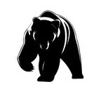 Çılgın Vahşi Ayı Desen Sticker Oto Yapıştırma