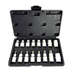 Nt Tools 16 Parça 1/2" Torx ve E Tipi Torx Lokma Seti CrV NCSET83