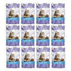 Plaisir 100Gr Pouch Trout and Shrimps Alabalık Karides Etli 12Adet Kedi Maması