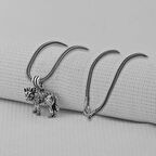 Kurt 925 Ayar Gümüş Erkek Kolye