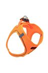 Tailpetz Air Mesh Köpek Göğüs Tasması X Large 54x60 cm Neo Turuncu