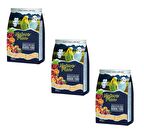 Nature Plan Meyve Aromalı Ballı Kabuksuz Muhabbet Kuşu Yemi 400 Gr (3 ADET)