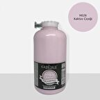 H-026 KAKTÜS ÇİÇEĞİ 2 LİTRE MULTISURFACE HYBRID AKR.