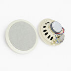 Dexun D-20T 100 Volt 20 CM Trafolu Alçıpan Hoparlör