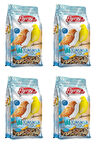 Kanarya Yemi 500 G - 4 Adet