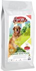 Energy Dog Food Sığır Etli Yetişkin Köpek Maması 15 kg