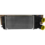 Psa Turbo Radyatoru 301 207 208 2008 Ds3 C-Elysee S3 III C3 IV C4 Cactus C3 Picasso Dv6dted Dv6c 12> - Psa 9803900780