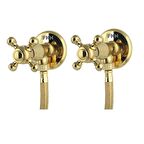 FKN İkili Koç Spiralli Altın Taharet Musluk