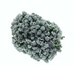 Çiçek Cipso Gümüş 3x8 Cm ( 144 Adet )