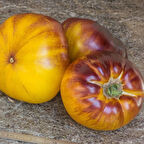 Çizgili Volvarina Domates Tohumu (15 Tohum)