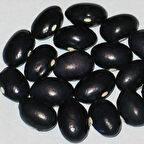 Grandma Ginas Geleneksel Fasulye Tohumu (10 Tohum)