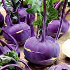 Doğal  Mor Kohlrabi (Alabaş) Tohumu (15 Tohum)