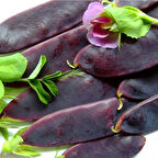 Geleneksel Doğal Şiraz Siyah Bezelye Tohumu (10 Tohum)