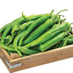 Salçalık Közlemelik Kızartmalık Şah Acı Etli Doğal Sivri Biber Tohumu (70 Tohum)