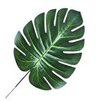 Deve Tabanı Yaprak 19 cm